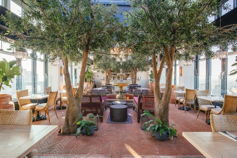 vibrant cafe with full grown trees, a fountain and an open rooflight